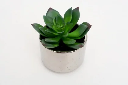 145000A 12 X 8 CM 0.212 KG GRIS VERT CERAMIQUE