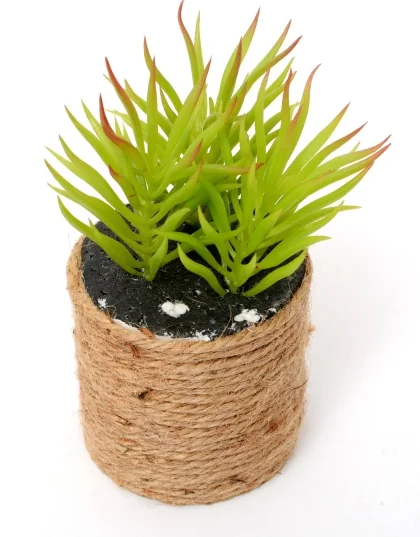 160065 15cm 0,109 KG VERT PLASTIQUE