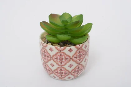 168596 8 cm0,89 KG  MARRON VERT PLASTIQUE