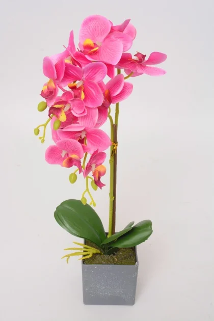 55247  51CM 0.338KG FUSHIA PLASTIQUE