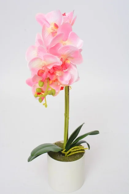 55249 51CM 0.304KG ROSE PLASTIQUE