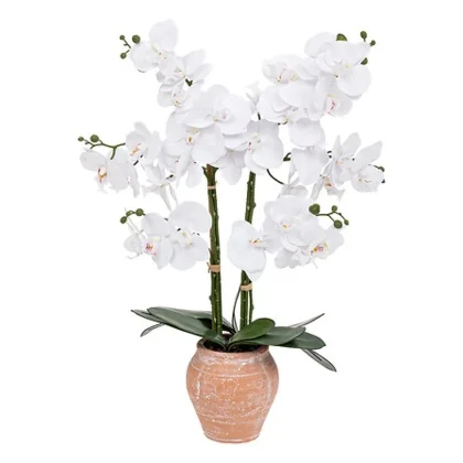 198222 PLANTE 65CM 1.529KG BLANC BEIGE PLASTIQUE GRES